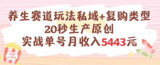 养生赛道玩法私域+复购类型，20秒生产原创实战单号月收入5k+-千城资源网