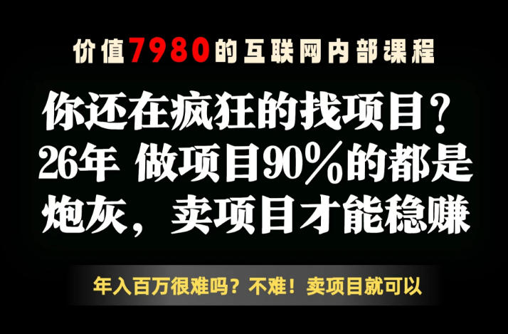26年请不要疯狂的找项目了，卖项目远比你想象的暴利，你也可以月入10W+【揭秘】-千城资源网