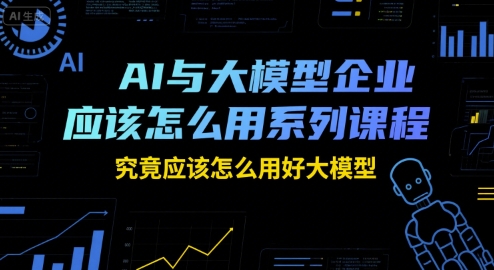 AI与大模型企业应该怎么用系列课程，究竟应该怎么用好大模型-千城资源网