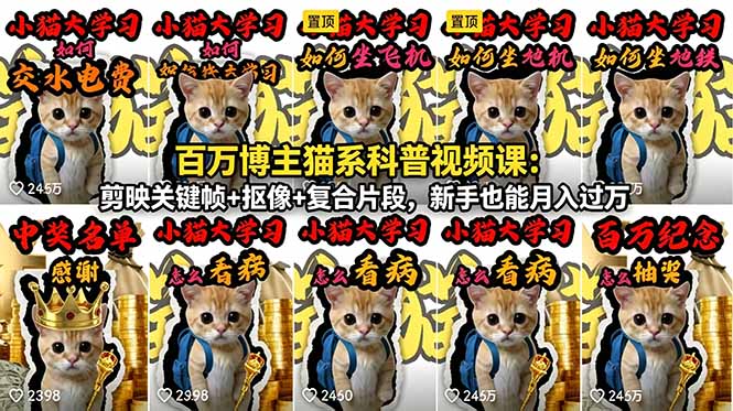 百万博主猫系科普视频课：剪映关键帧+抠像+复合片段，新手也能月入过万-千城资源网