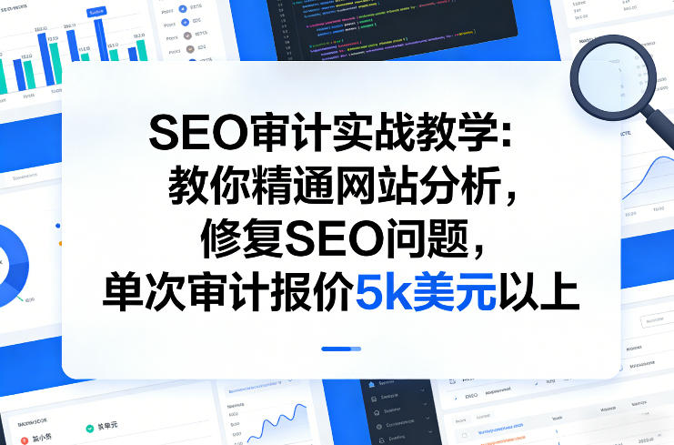 SEO审计实战教学：教你精通网站分析，修复SEO问题，单次审计报价5k美元以上-千城资源网