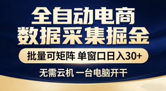 独家电商数据全自动采集项目，批量可矩阵，单窗口轻松日入3张+【揭秘】-千城资源网