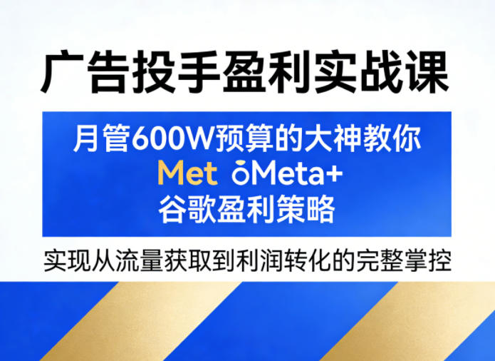 广告投手盈利实战课，月管600W预算的大神教你Meta+谷歌盈利策略，实现从流量获取到利润转化的完整掌控-千城资源网