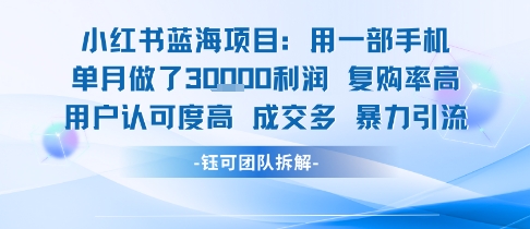 小红书蓝海项目，一部手机单月做了3W利润，小白也能月入过1W用户认可度高成交多-千城资源网