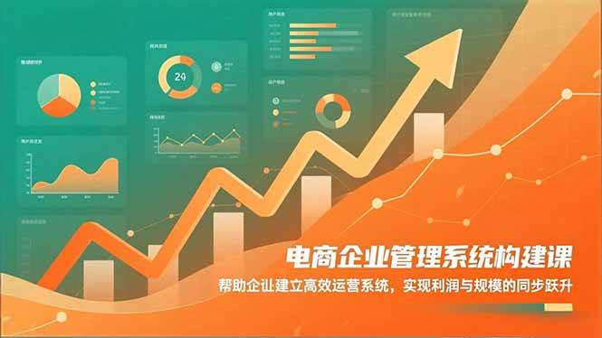 （16643期）电商企业管理系统构建课：帮助企业建立高效运营系统，实现利润与规模的同步跃升-千城资源网