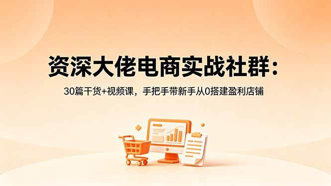 （18529期）资深大佬电商实战社群：30篇干货+视频课，手把手带新手从0搭建盈利店铺-千城资源网