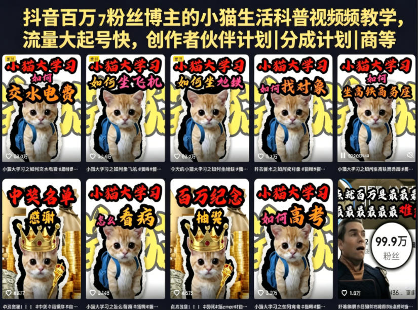 抖音百万粉丝博主的小猫生活科普视频教学，流量大起号快，创作者伙伴计划|分成计划|商单|收徒等-千城资源网