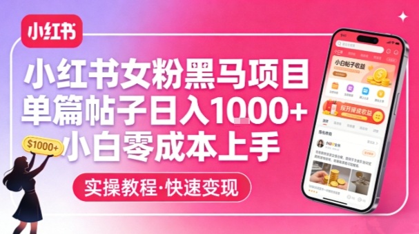 小红书女粉黑马项目，单篇帖子日入1k+，小白零成本上手-千城资源网