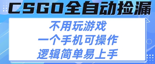 CSGO自动捡漏项目，最新独家玩法，不用挂G不用玩游戏，一个手机即可操作，新手小白轻松月入1W+【揭秘】-千城资源网