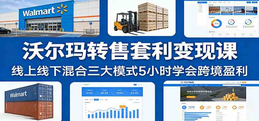 沃尔玛转售套利变现课：线上线下混合三大模式5小时学会跨境盈利-千城资源网