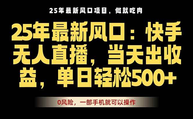 （16007期）25年最新无人直播玩法，当天秒出单，一部手机就可操作-千城资源网