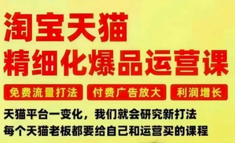 淘宝天猫精细化爆品运营课，免费流量打法-付费广告放大-利润增长-三大核心痛点，一次全部解决-千城资源网