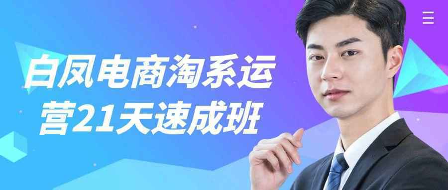 白凤电商淘系运营21天速成班-千城资源网