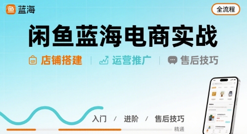闲鱼蓝海电商实战，店铺搭建运营售后全流程-千城资源网