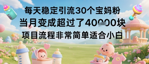 每天稳定引流30个宝妈粉当月变成超过了1W+项目流程非常简单适合小白-千城资源网