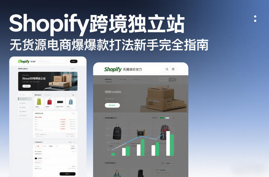 Shopify跨境独立站无货源电商爆款打法新手完全指南-千城资源网