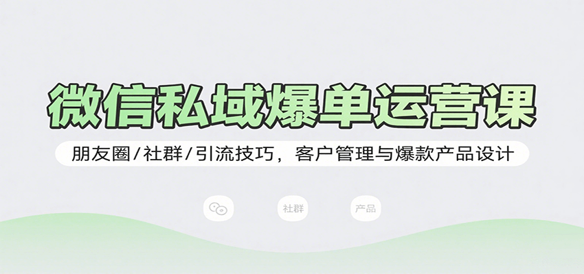 微信私域爆单运营课：朋友圈/社群/引流技巧，客户管理与爆款产品设计-千城资源网