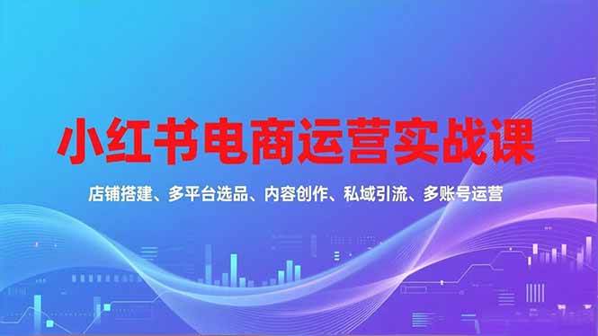 （16695期）小红书电商运营实战课，店铺搭建、多平台选品、内容创作、私域引流、多账号运营等玩法-千城资源网