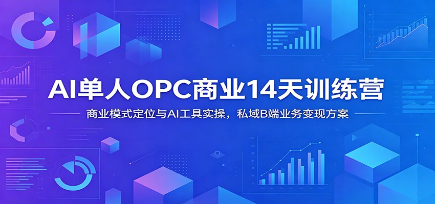 AI单人OPC商业14天训练营：商业模式定位与AI工具实操，私域B端业务变现方案-千城资源网
