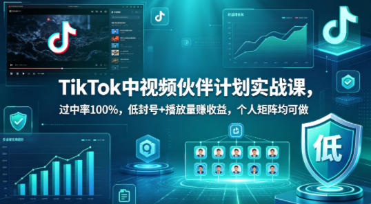 TikTok中视频伙伴计划实战课，过中率100%，低封号+播放量賺收益，个人矩阵均可做-千城资源网