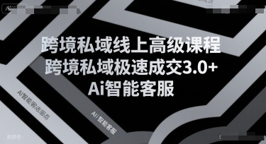 跨境私域线上高级课程，跨境私域极速成交3.0+Ai智能客服-千城资源网