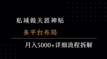 私域做天涯神贴 多平台布局 月入5k+详细流程拆解-千城资源网