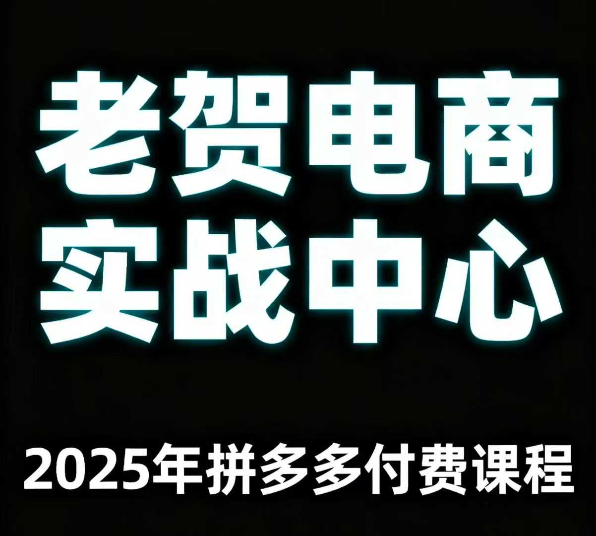 老贺电商2025年拼多多付费课程，用通俗易懂的方法告诉你多多怎么玩-千城资源网