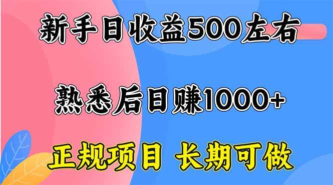 （16132期）新手日收益500+ 正规项目 长期可做-千城资源网