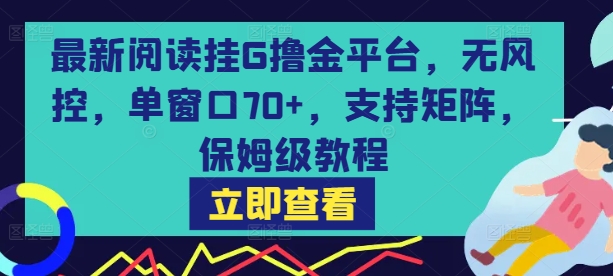 最新阅读挂G撸金平台，无风控，单窗口70+，支持矩阵，保姆级教程【揭秘】-千城资源网