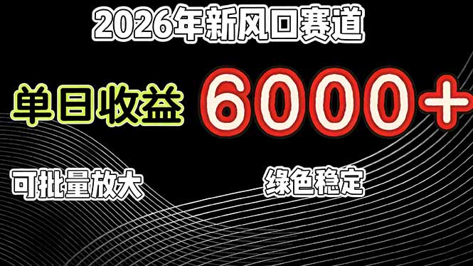 2026年新风口赛道，当日6000+以上，可批量放大，月收入20万+，长期绿色稳定的项目-千城资源网