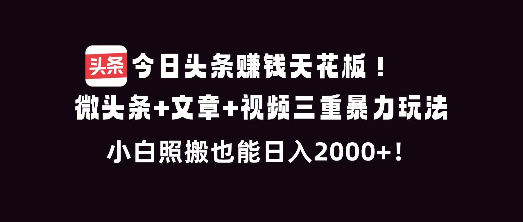 （16888期）今日头条赚钱天花板！微头条+文章+视频三重暴利玩法，小白照搬也能日人2000+-千城资源网