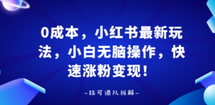 0成本，小红书最新玩法，小白无脑操作，快速涨粉变现-千城资源网