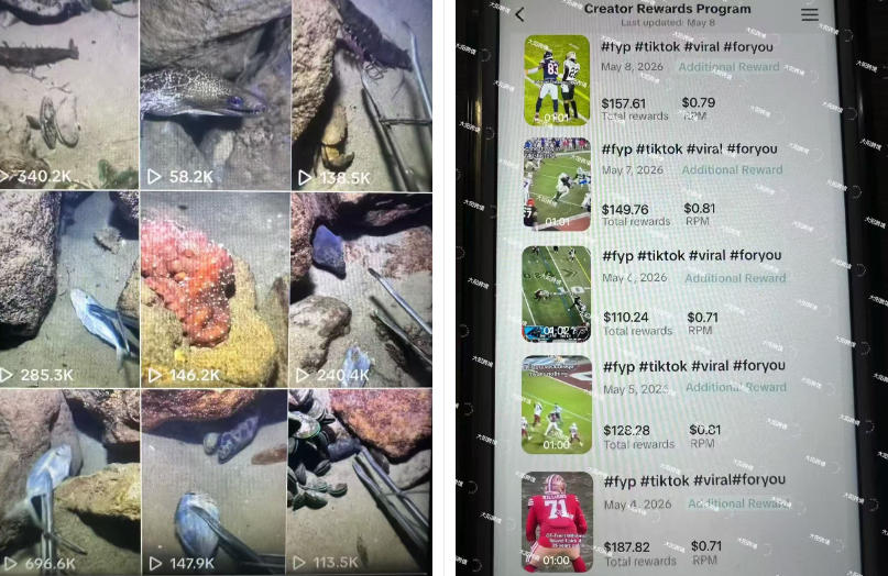 Tiktok中视频解说教程，体育+温情文案双赛道实操教程一站式带你落地，教你出海賺美刀-千城资源网