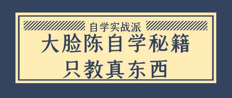 大脸陈自学秘籍只教真东西-千城资源网