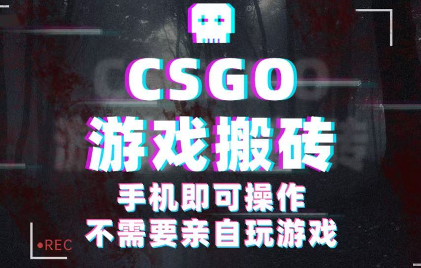 CSGO游戏挂机捡漏，单日扫货500+，年底小高峰上车可吃肉，手机即可操作兼职副业-千城资源网