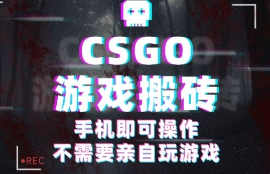 CSGO游戏挂G捡漏，单日扫货5张+，年底小高峰上车可吃肉，手机即可操作，兼职副业创业网创【揭秘】-千城资源网