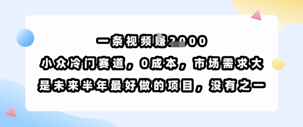 一条视频挣1k，小众冷门赛道，0成本，市场需求大，是未来半年最好做的项目，没有之一-千城资源网