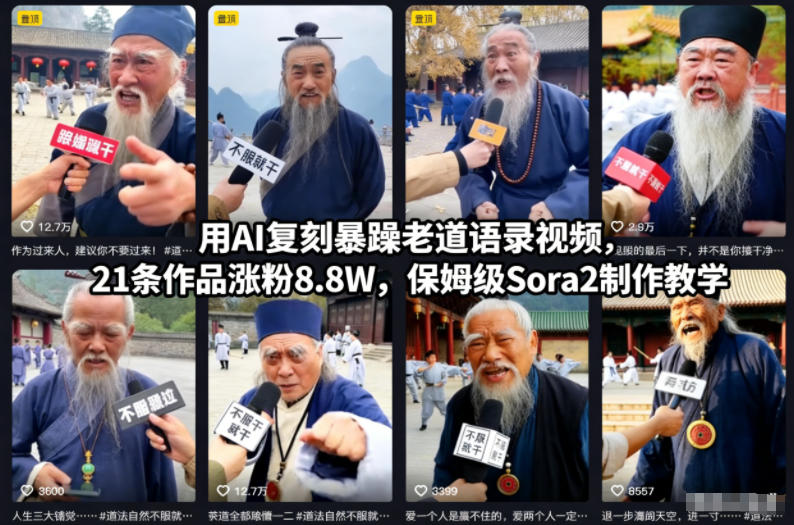 用AI复刻暴躁老道语录视频，21条作品涨粉8.8W，保姆级Sora2制作教学-千城资源网