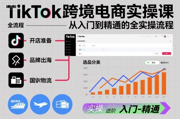 TikTok跨境电商实操课，从入门到精通的全实操流程-千城资源网