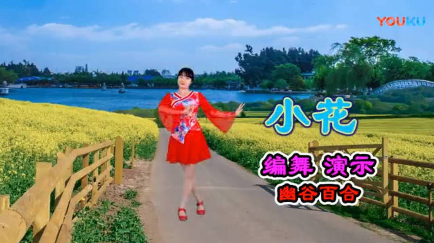 精选高清广场舞视频教学合集500首-千城资源网