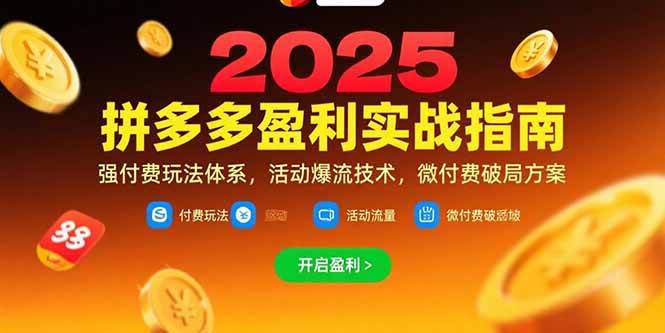 （15357期）拼多多盈利实战指南，强付费玩法，活动爆流技术，微付费破局方案(更新7月)-千城资源网