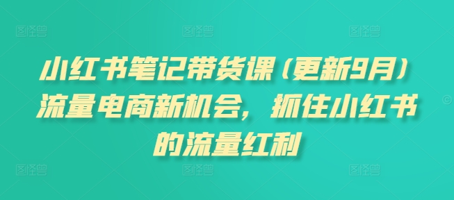 小红书笔记带货课(更新25年6月)流量电商新机会，抓住小红书的流量红利-千城资源网