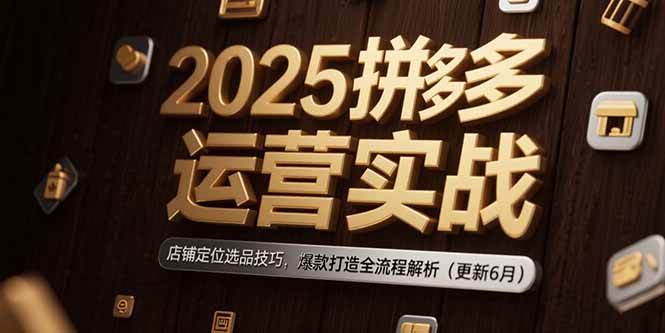 （15235期）2025拼多多运营实战：店铺定位选品技巧，爆款打造全流程解析（更新6月）-千城资源网