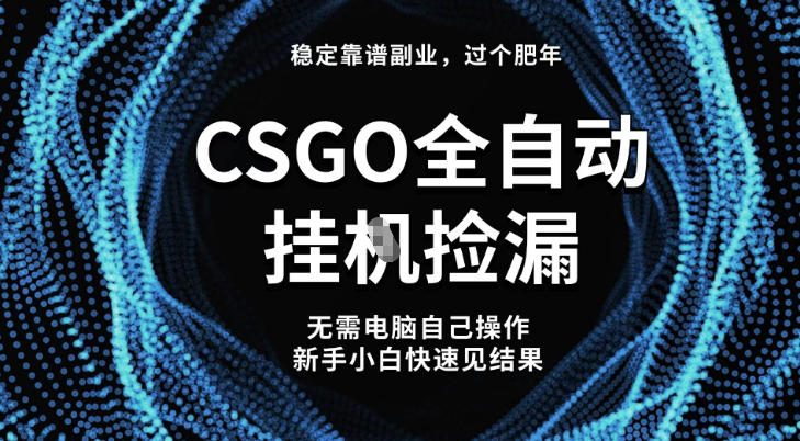 【稳定副业】全球最热门游戏CSGO全自动捡漏，最新玩法，新手小白日入5张+【揭秘】-千城资源网