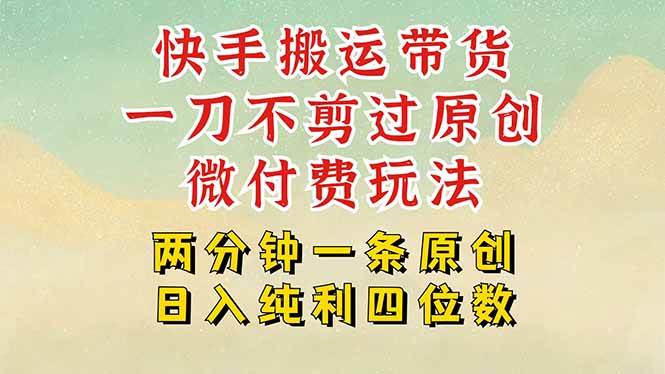 （15577期）快手黑科技搬运带货，一刀不剪过原创，微付费投流玩法，轻松日入四位数…-千城资源网