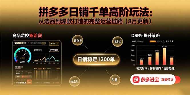 （15850期）拼多多日销千单高阶玩法：从选品到爆款打造的完整运营链路（8月更新）-千城资源网